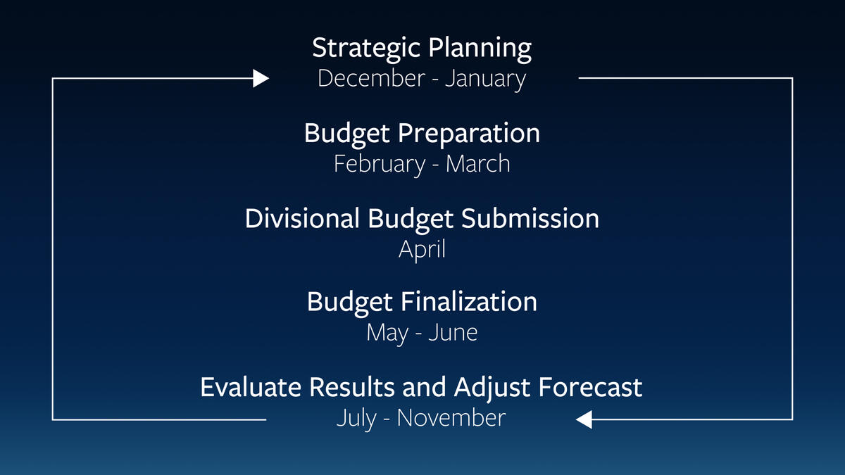 The phases of the budget process illustrated as a continuous cycle