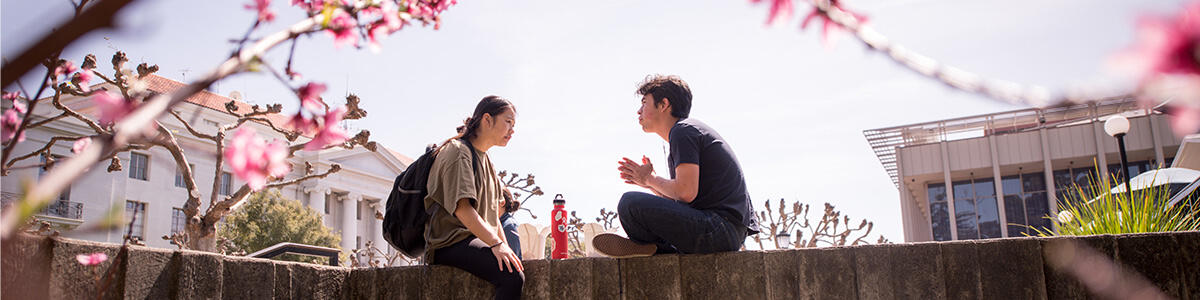 People in conversation. Two people sit on a wall, engaged in conversation, framed by pink budding branches.